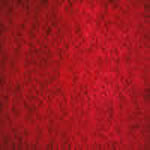 Carpet Mat Pro Commercial Carpet Mat Runner Mats Red Color Chip