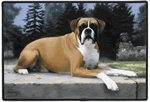 Boxers Decorative Pet Mat Product Image