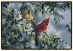 Cardinals Decorative Pet Mat Product Image