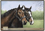 Caroline's Horses Decorative Pet Mat Product Image