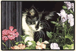 First Spring Decorative Pet Mat Product Image