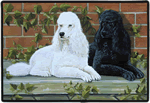 Poodles Decorative Pet Mat Product Image