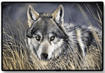 Wolf Decorative Pet Mat Product Image