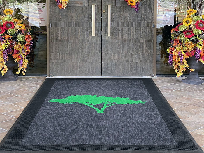 Welcome Mats for Front Door Outside Entry - Entryway Rug